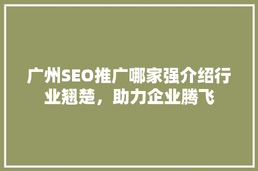 广州SEO推广哪家强介绍行业翘楚，助力企业腾飞