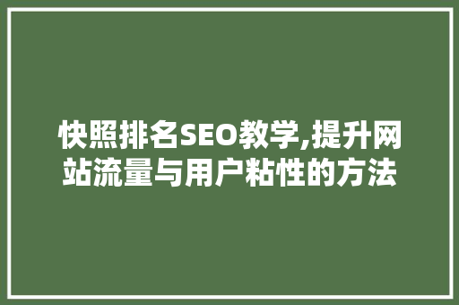 快照排名SEO教学,提升网站流量与用户粘性的方法