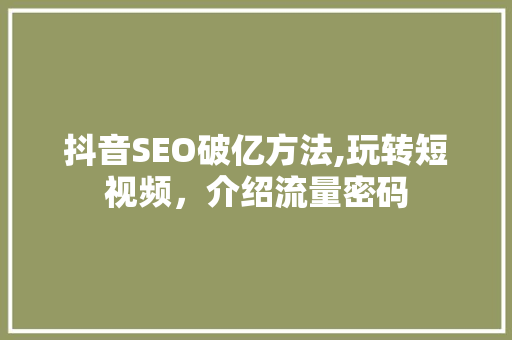 抖音SEO破亿方法,玩转短视频，介绍流量密码