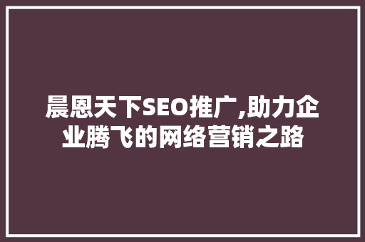 晨恩天下SEO推广,助力企业腾飞的网络营销之路