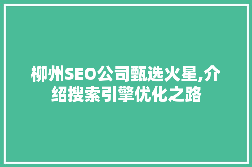 柳州SEO公司甄选火星,介绍搜索引擎优化之路