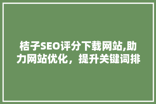桔子SEO评分下载网站,助力网站优化，提升关键词排名