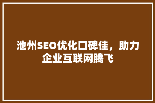 池州SEO优化口碑佳，助力企业互联网腾飞