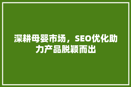 深耕母婴市场，SEO优化助力产品脱颖而出