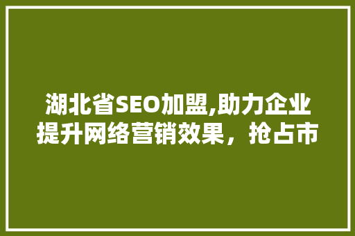 湖北省SEO加盟,助力企业提升网络营销效果，抢占市场先机