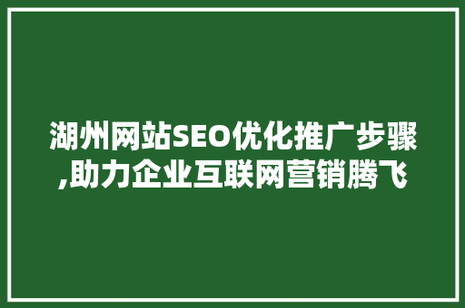 湖州网站SEO优化推广步骤,助力企业互联网营销腾飞