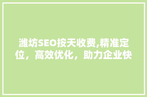 潍坊SEO按天收费,精准定位，高效优化，助力企业快速提升网络竞争力