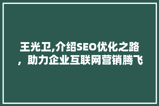 王光卫,介绍SEO优化之路，助力企业互联网营销腾飞