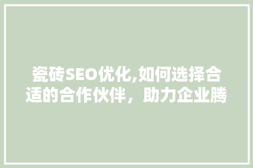 瓷砖SEO优化,如何选择合适的合作伙伴，助力企业腾飞