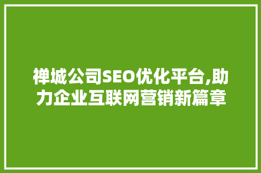 禅城公司SEO优化平台,助力企业互联网营销新篇章
