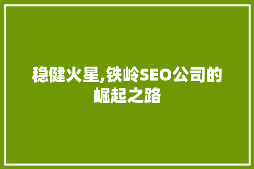 稳健火星,铁岭SEO公司的崛起之路