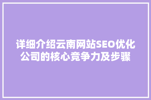 详细介绍云南网站SEO优化公司的核心竞争力及步骤