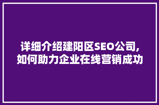 详细介绍建阳区SEO公司,如何助力企业在线营销成功