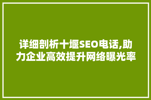 详细剖析十堰SEO电话,助力企业高效提升网络曝光率