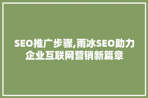 SEO推广步骤,雨冰SEO助力企业互联网营销新篇章