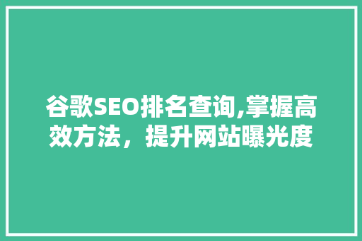 谷歌SEO排名查询,掌握高效方法，提升网站曝光度