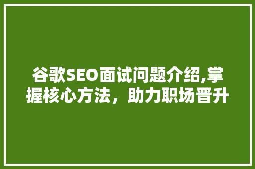 谷歌SEO面试问题介绍,掌握核心方法，助力职场晋升