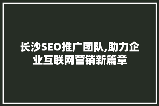 长沙SEO推广团队,助力企业互联网营销新篇章