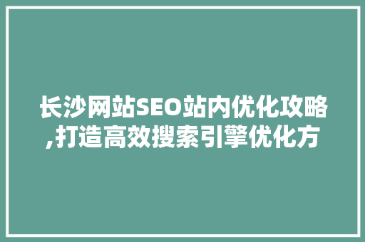 长沙网站SEO站内优化攻略,打造高效搜索引擎优化方法