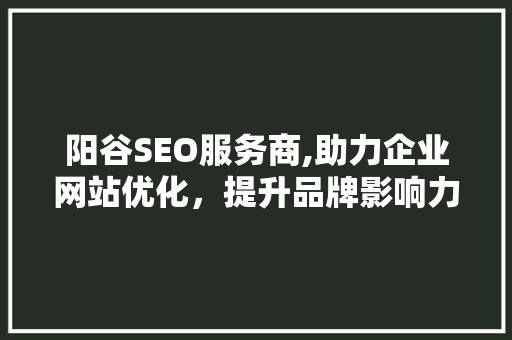 阳谷SEO服务商,助力企业网站优化，提升品牌影响力