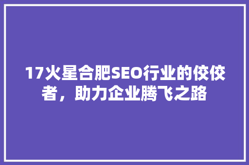 17火星合肥SEO行业的佼佼者，助力企业腾飞之路  第1张