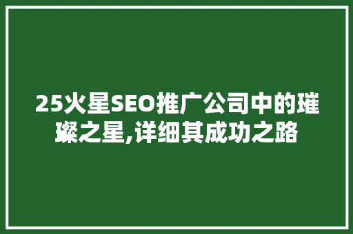 25火星SEO推广公司中的璀璨之星,详细其成功之路