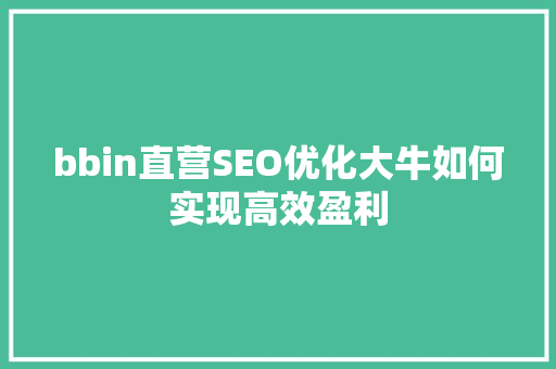 bbin直营SEO优化大牛如何实现高效盈利