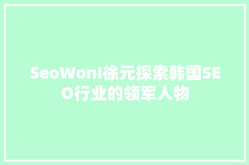 SeoWonI徐元探索韩国SEO行业的领军人物