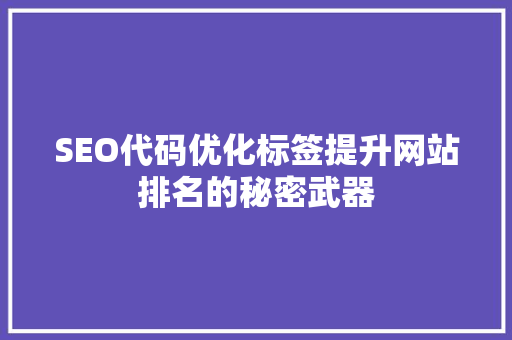 SEO代码优化标签提升网站排名的秘密武器