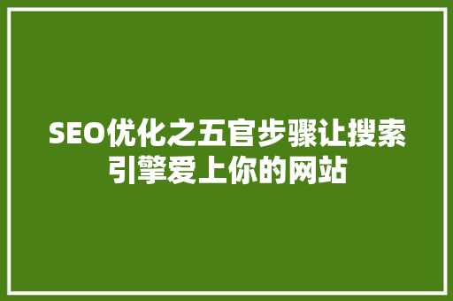 SEO优化之五官步骤让搜索引擎爱上你的网站