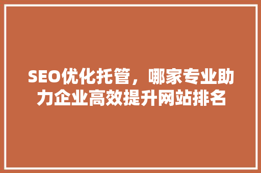 SEO优化托管，哪家专业助力企业高效提升网站排名