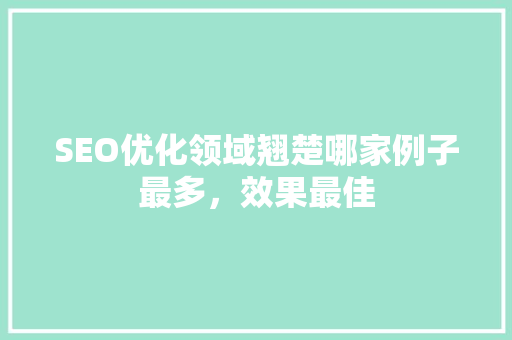 SEO优化领域翘楚哪家例子最多，效果最佳