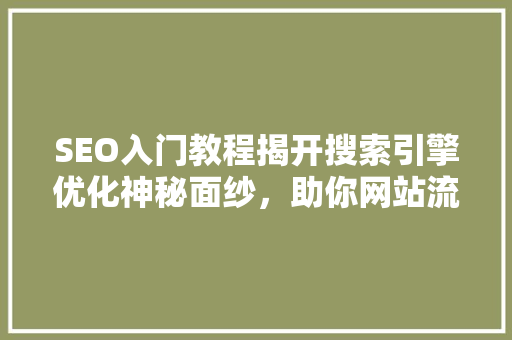 SEO入门教程揭开搜索引擎优化神秘面纱，助你网站流量飙升