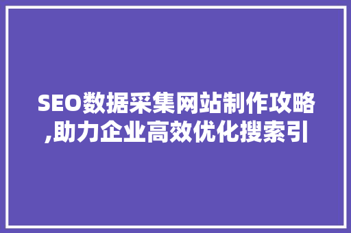 SEO数据采集网站制作攻略,助力企业高效优化搜索引擎排名