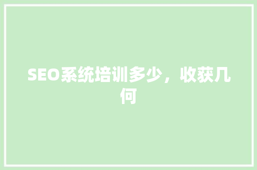 SEO系统培训多少，收获几何