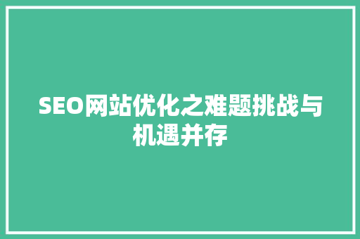 SEO网站优化之难题挑战与机遇并存