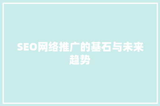 SEO网络推广的基石与未来趋势