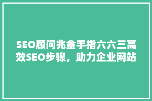 SEO顾问兆金手指六六三高效SEO步骤，助力企业网站优化