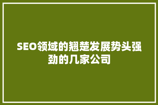 SEO领域的翘楚发展势头强劲的几家公司