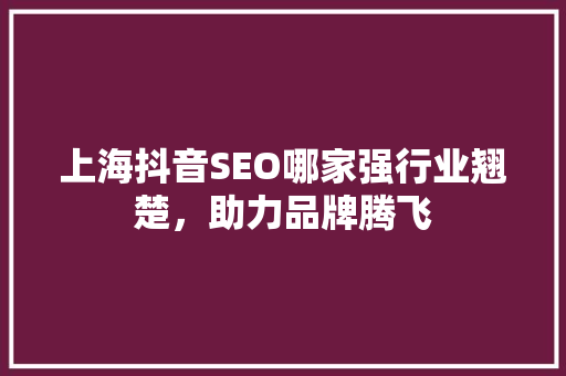 上海抖音SEO哪家强行业翘楚，助力品牌腾飞