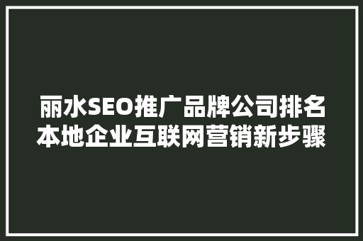 丽水SEO推广品牌公司排名本地企业互联网营销新步骤