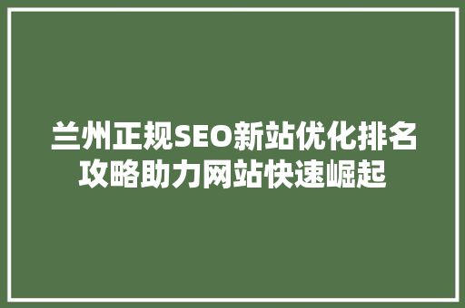 兰州正规SEO新站优化排名攻略助力网站快速崛起