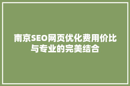 南京SEO网页优化费用价比与专业的完美结合