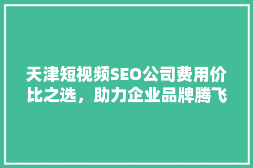天津短视频SEO公司费用价比之选，助力企业品牌腾飞