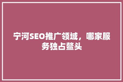 宁河SEO推广领域，哪家服务独占鳌头  第1张