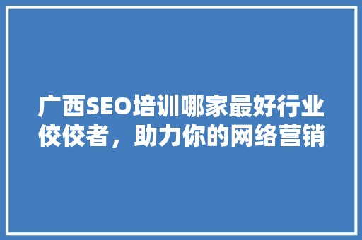 广西SEO培训哪家最好行业佼佼者，助力你的网络营销之路