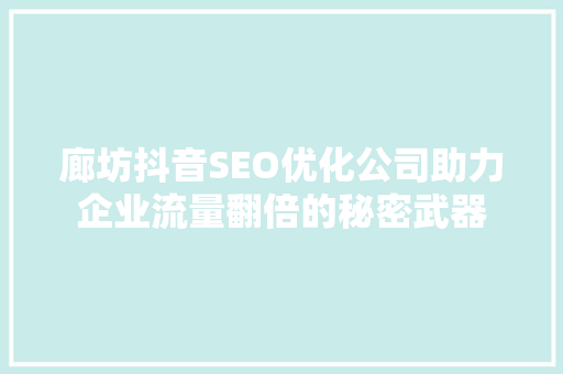 廊坊抖音SEO优化公司助力企业流量翻倍的秘密武器