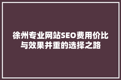 徐州专业网站SEO费用价比与效果并重的选择之路