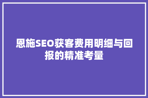 恩施SEO获客费用明细与回报的精准考量