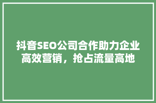 抖音SEO公司合作助力企业高效营销，抢占流量高地